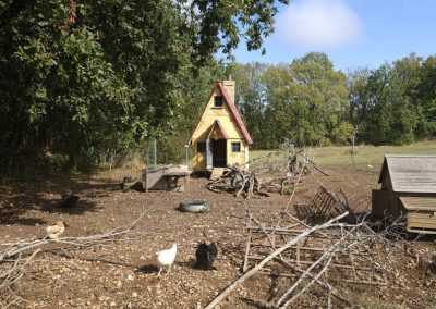 Chickens and chicken house
